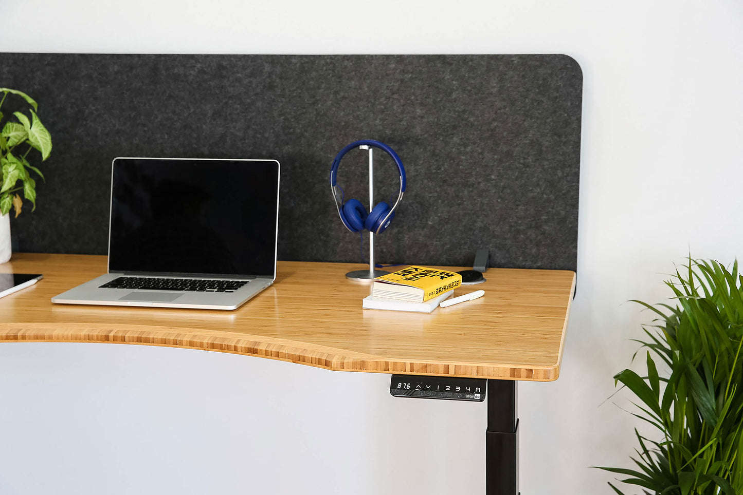 Stando Arena Bamboo Ergo Edge Sit Stand Desk