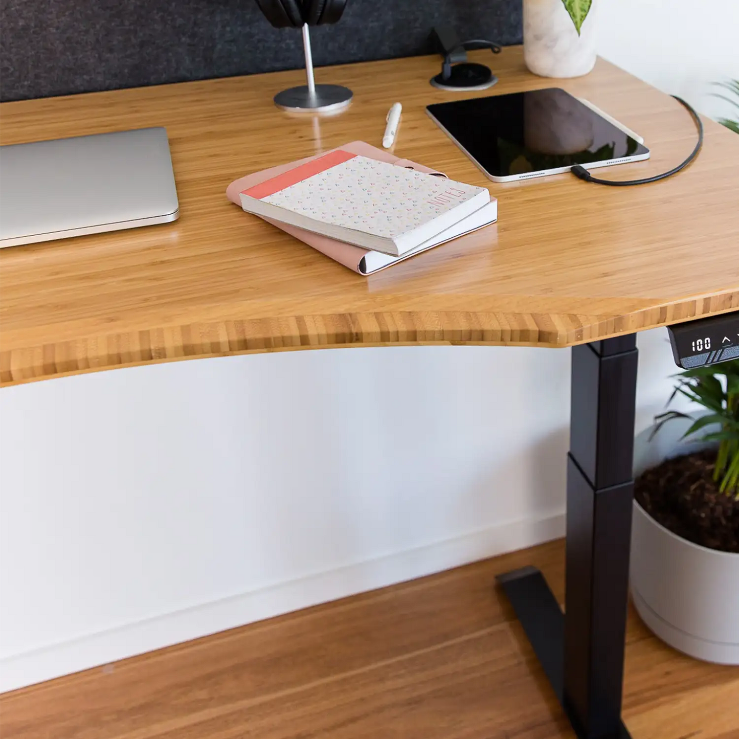 Stando Arena Bamboo Ergo Edge Sit Stand Desk