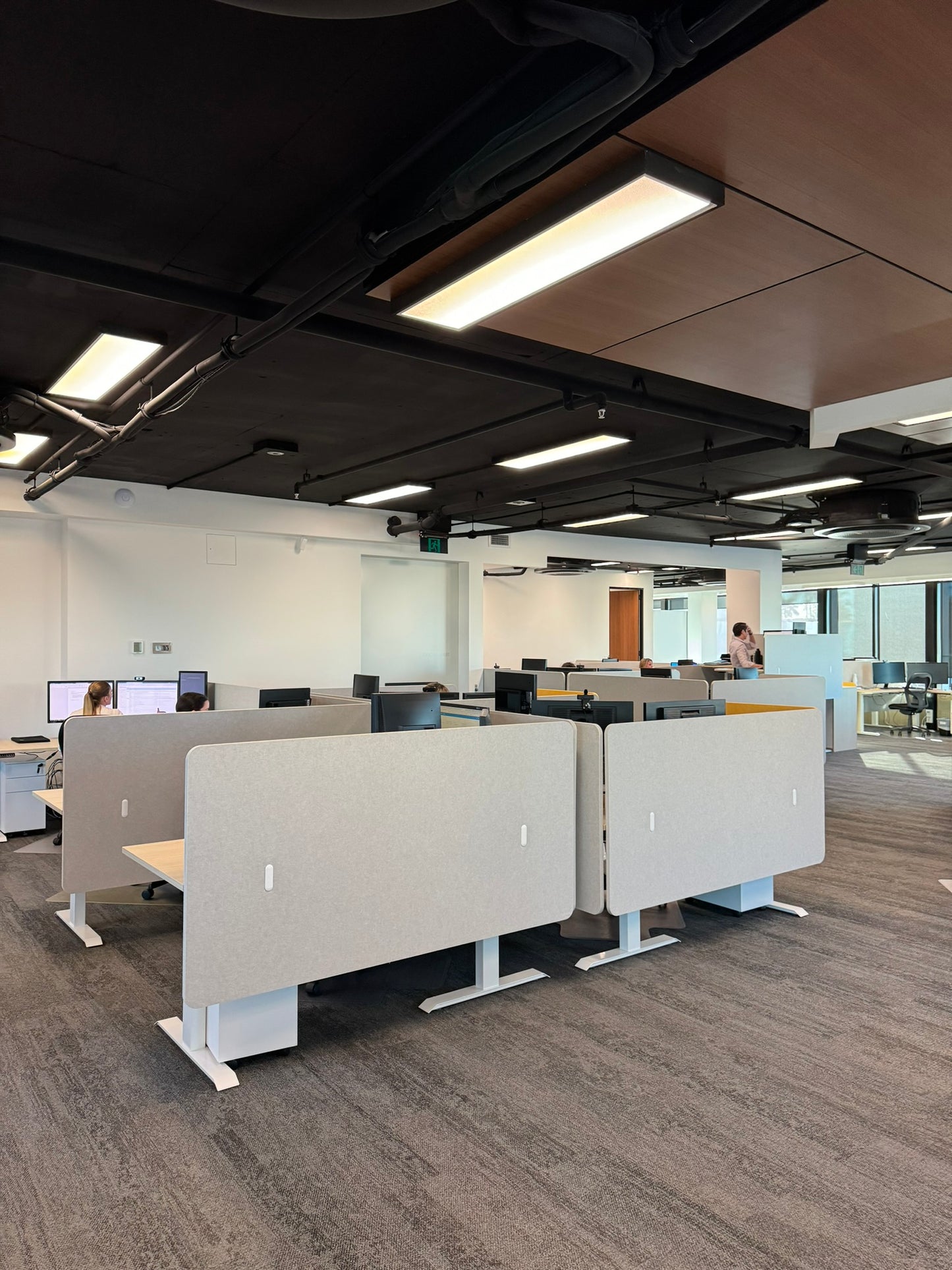 Acoustic Desk Partition