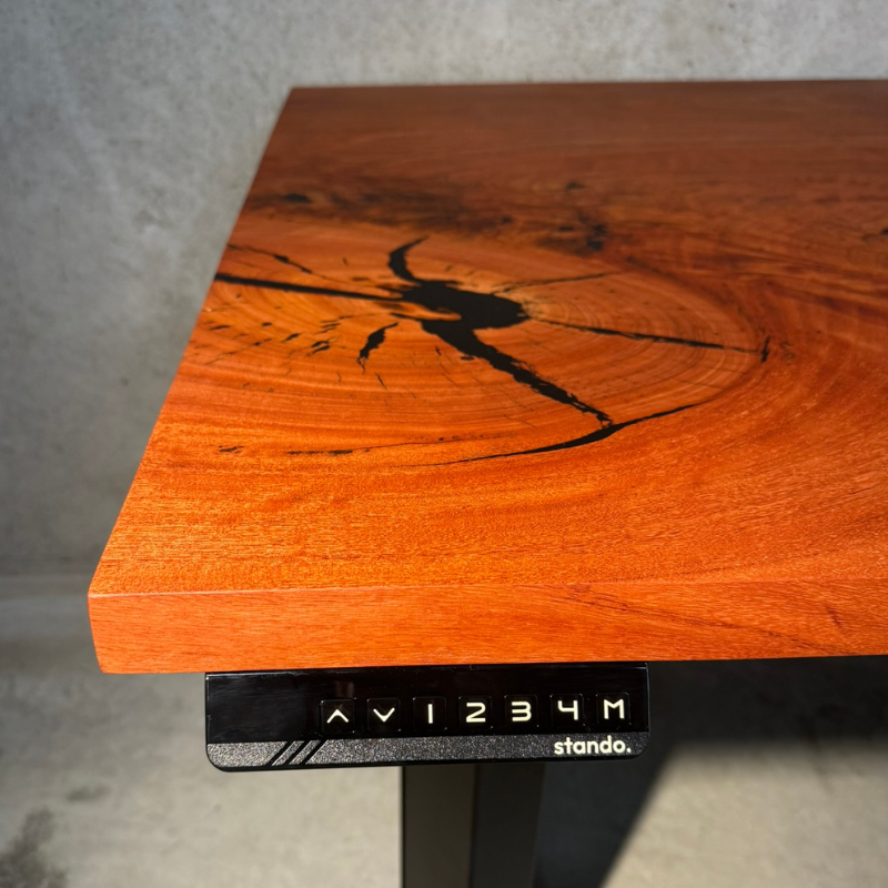 Stando Heavy Duty Standing Desk with Custom Timber Desk Top