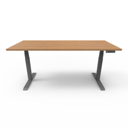 Stando Arena Custom Melamine Sit Stand Desk