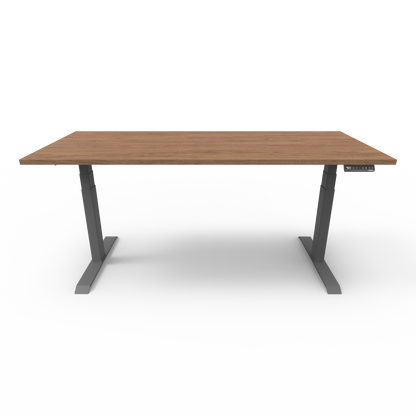 Stando Arena Custom Melamine Sit Stand Desk