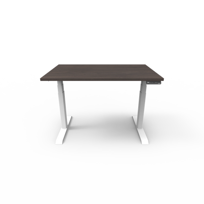 Stando Arena Custom Melamine Sit Stand Desk