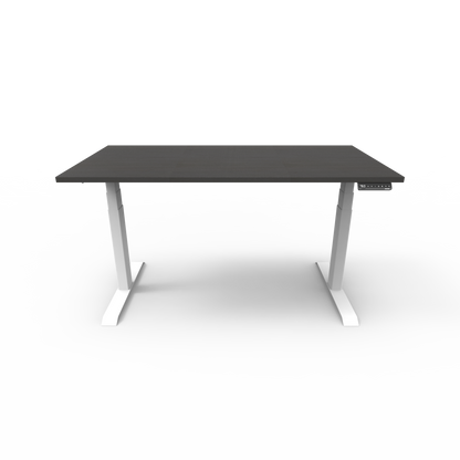 Stando Arena Custom Melamine Sit Stand Desk