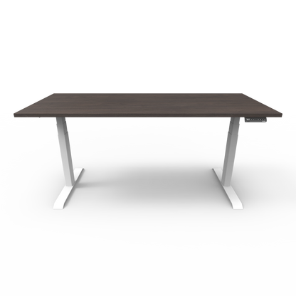 Stando Arena Custom Melamine Sit Stand Desk