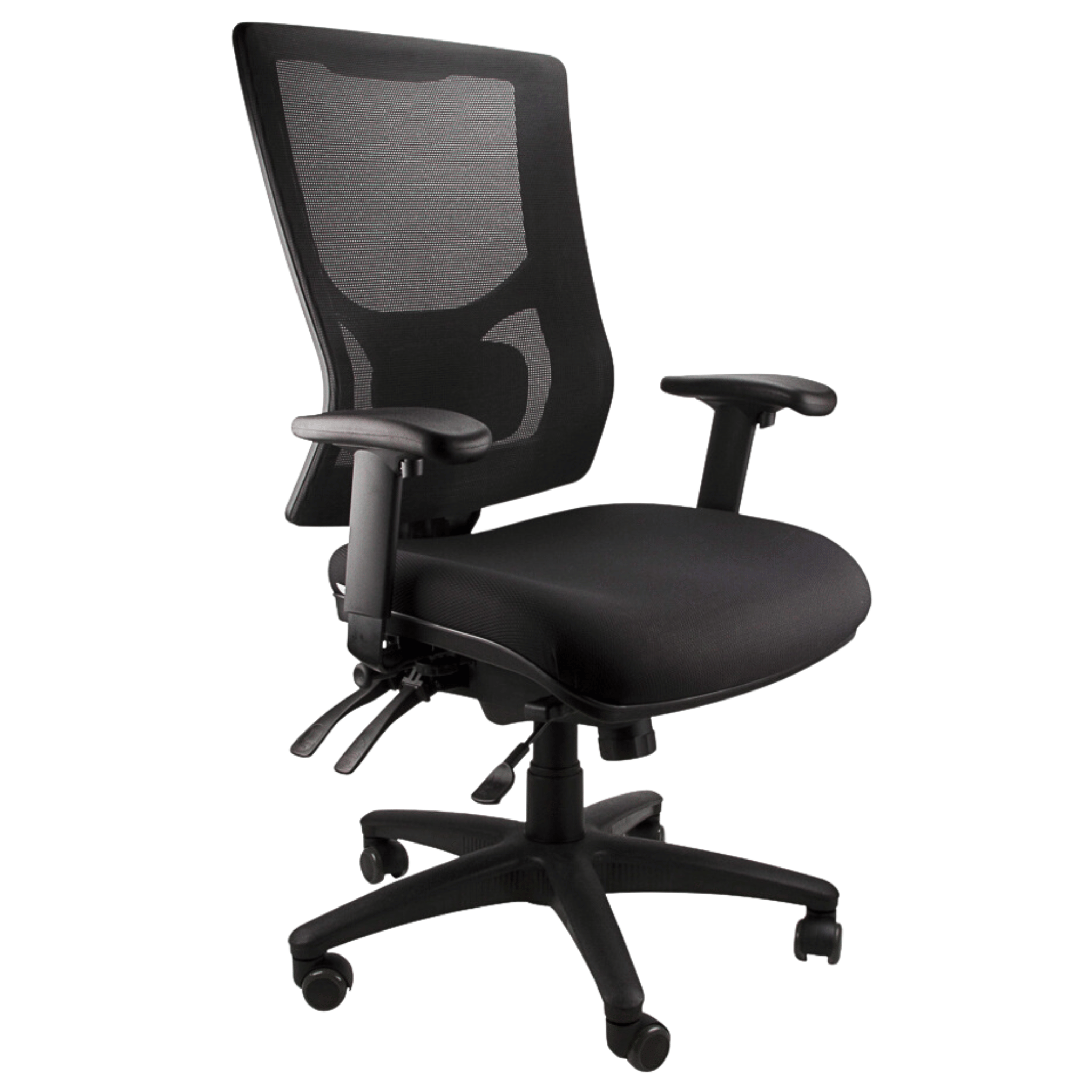 Echo Mesh Back Ergonomic Chair – Stando.