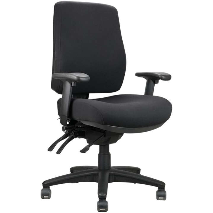 Ergoback Ergonomic Chair