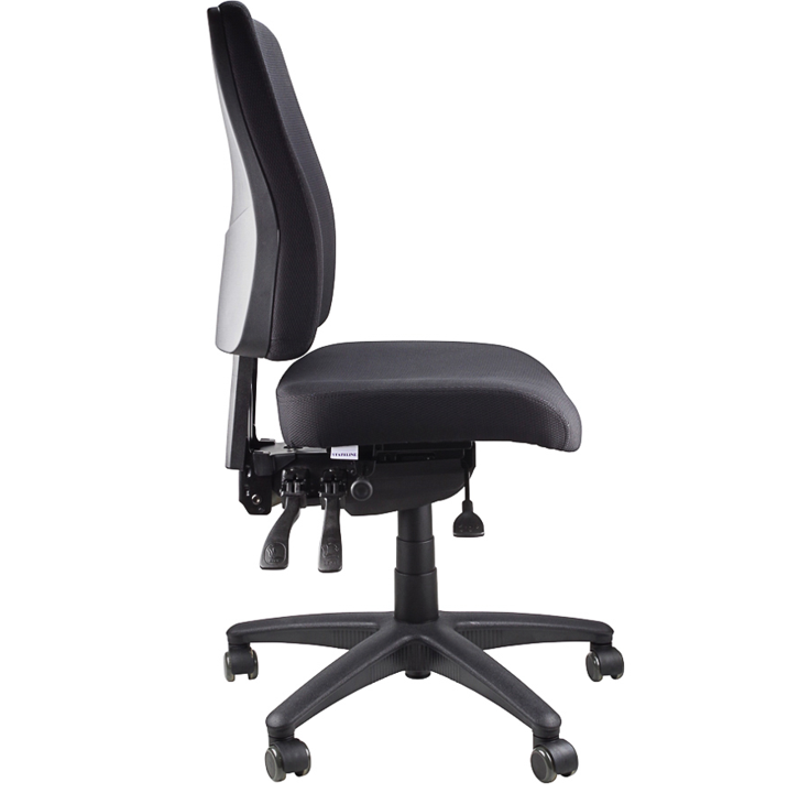 Ergoback Premium Ergonomic Chair