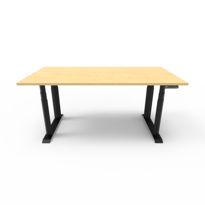 Heavy Duty Standing Desk with Custom Melamine Desk Top