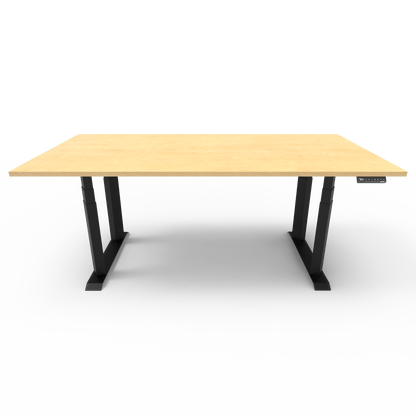 Heavy Duty Standing Desk with Custom Melamine Desk Top