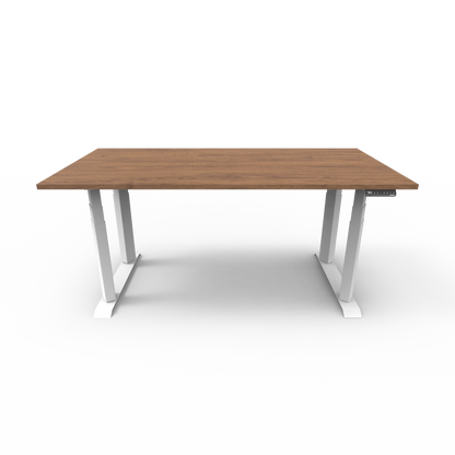Heavy Duty Standing Desk with Custom Melamine Desk Top