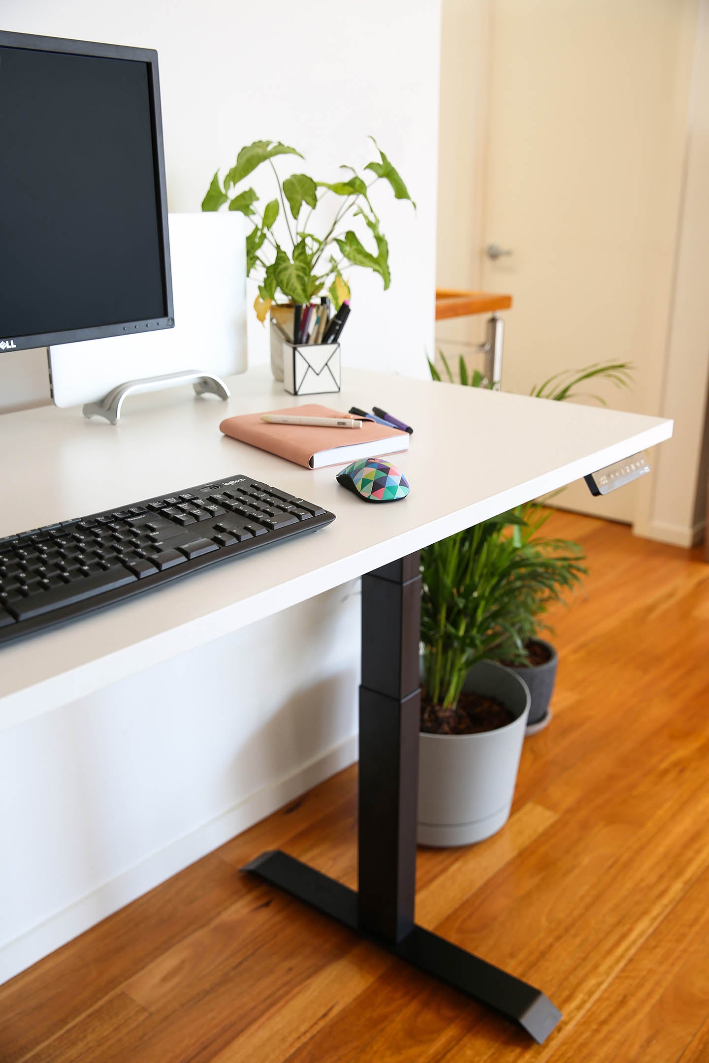 Stando Arena Custom Melamine Sit Stand Desk
