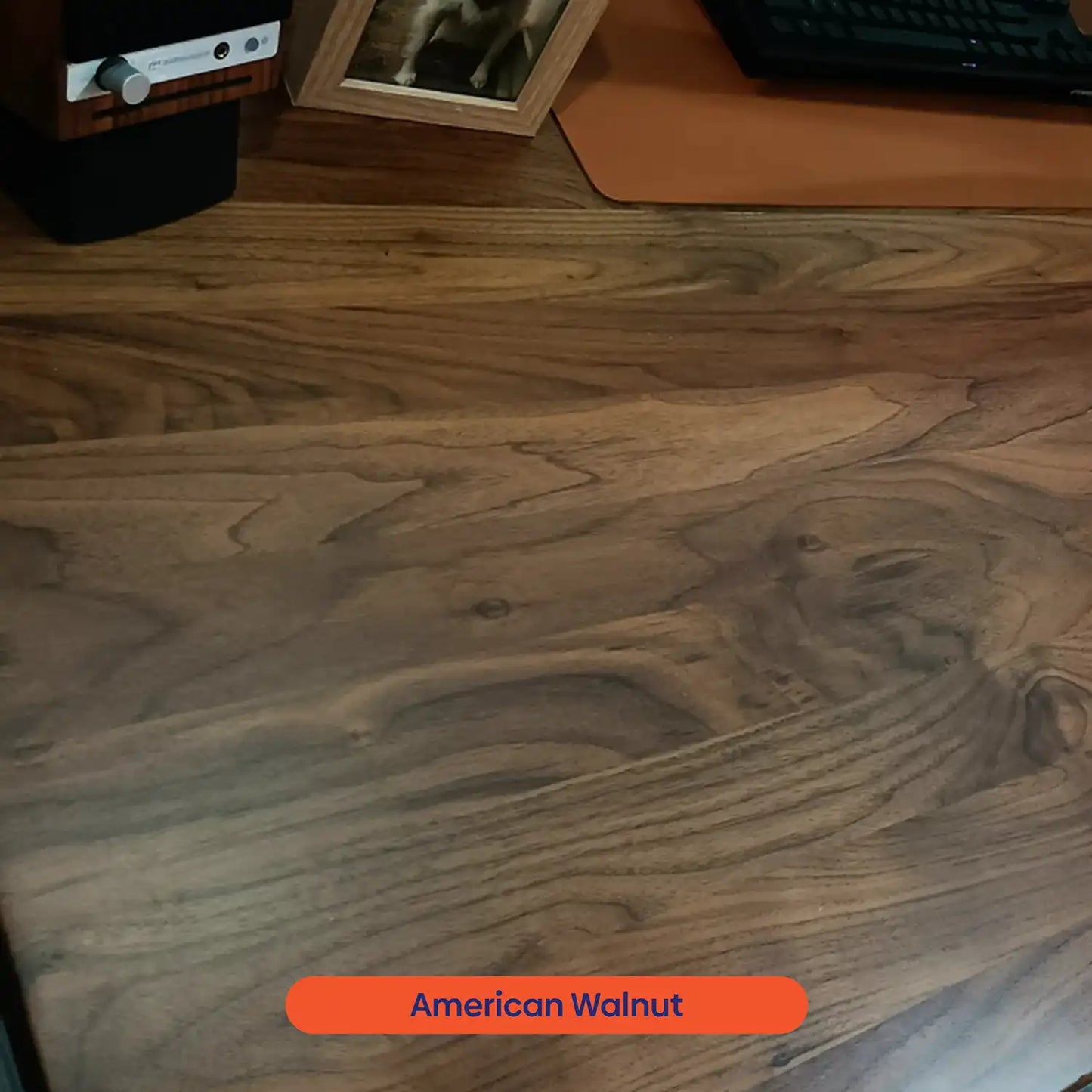 Arena Series Solid Walnut Standing Desks